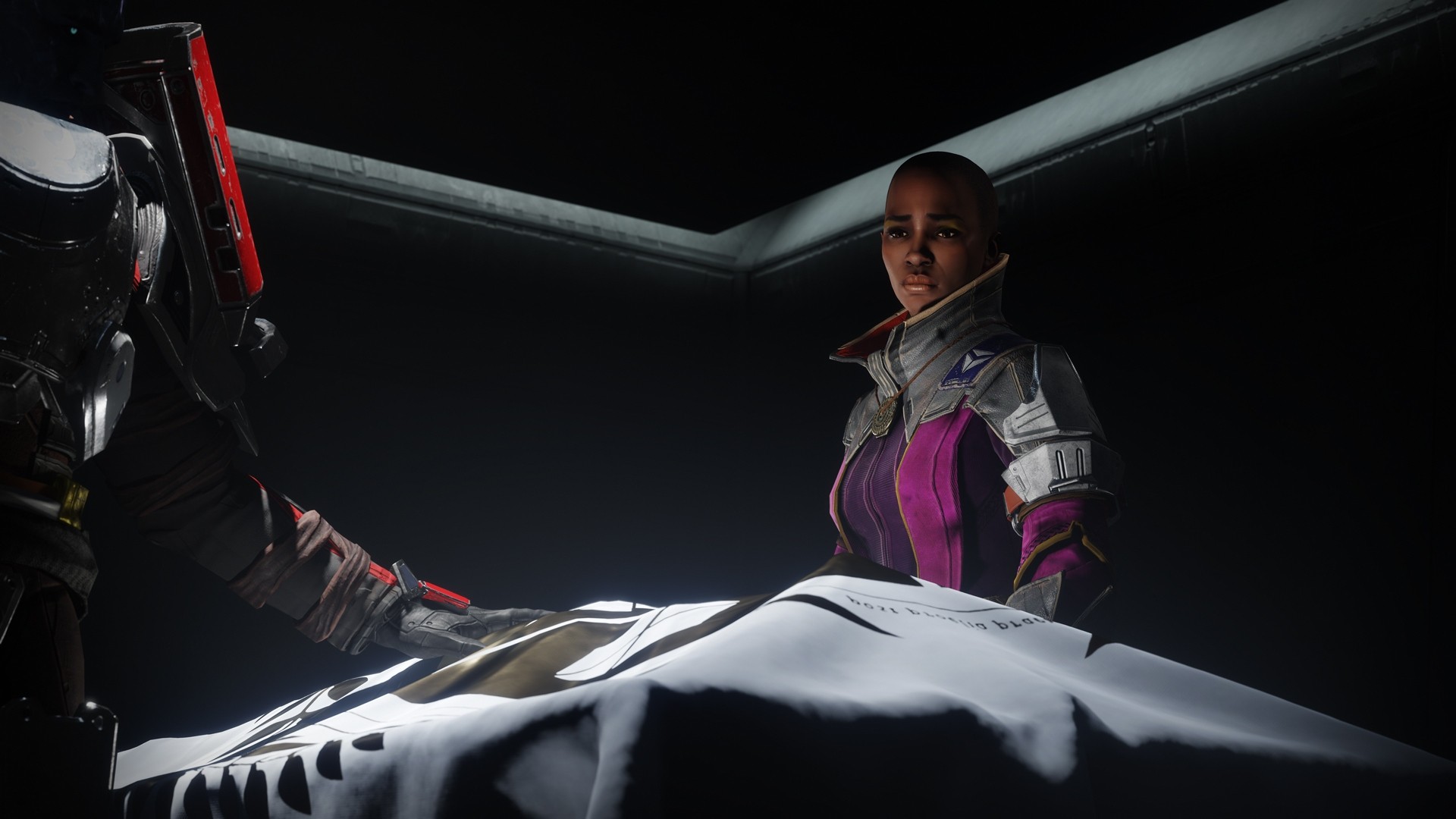 Destiny 2: Los Renegados - Imagen 29